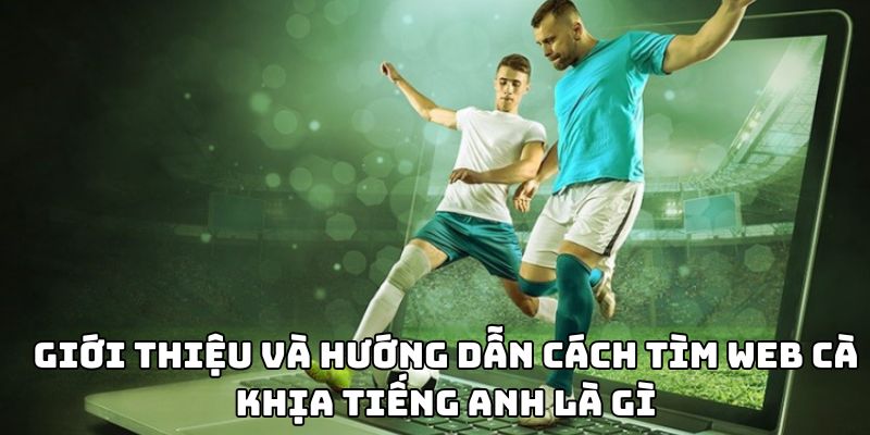 Giới thiệu và hướng dẫn cách tìm web Cà khịa tiếng Anh là gì